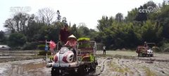 春耕新气象：万亩早稻插秧功课 机械化帮力春耕